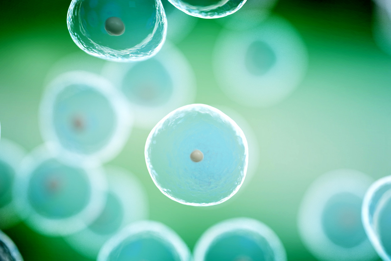human cells