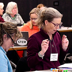 Teachers participated in a hands-on activity to determine hypothetical polygenic risk scores by sorting colored pompoms and tallying the different shades.