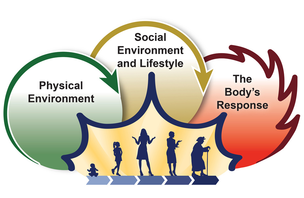 graphic with people, green arrow, yellow arrow, red arrow