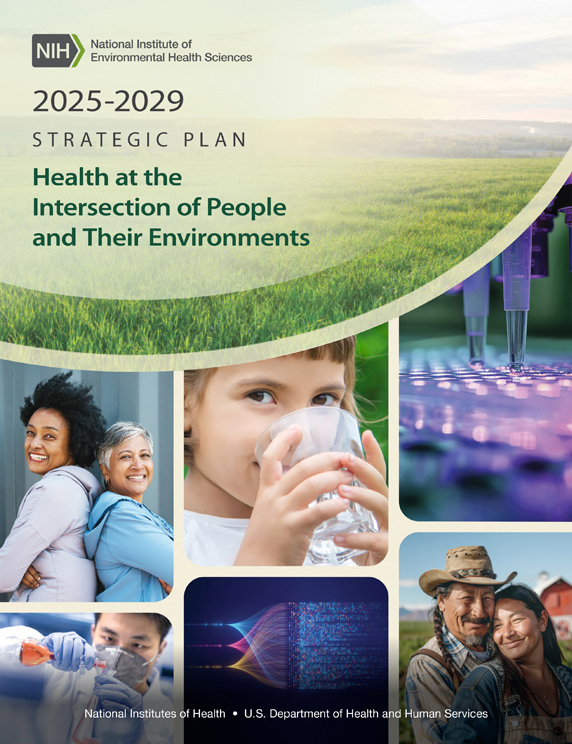 cover from strategic plan - green fields and various other images