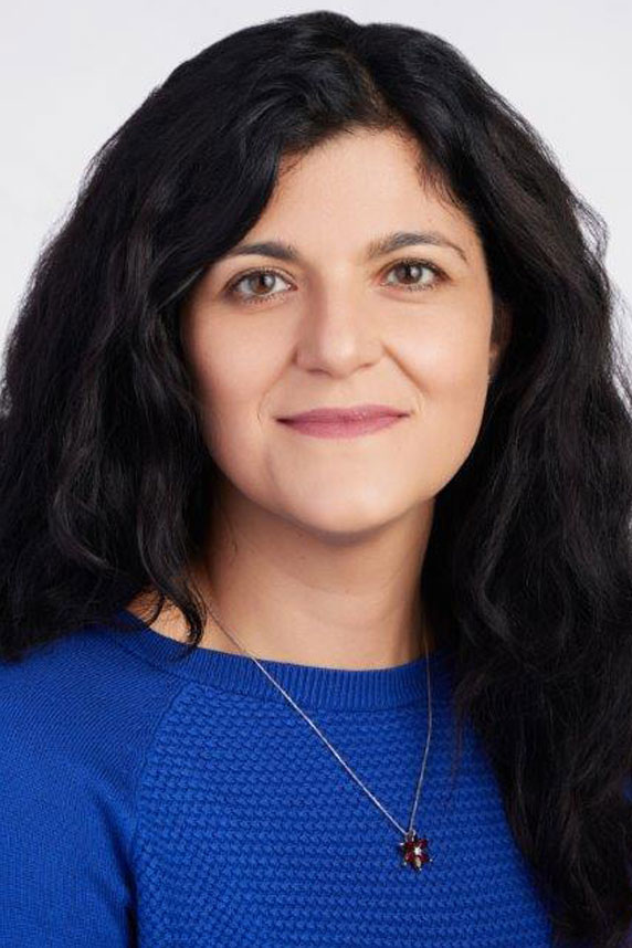 Damaskini Valvi, M.D., Ph.D.